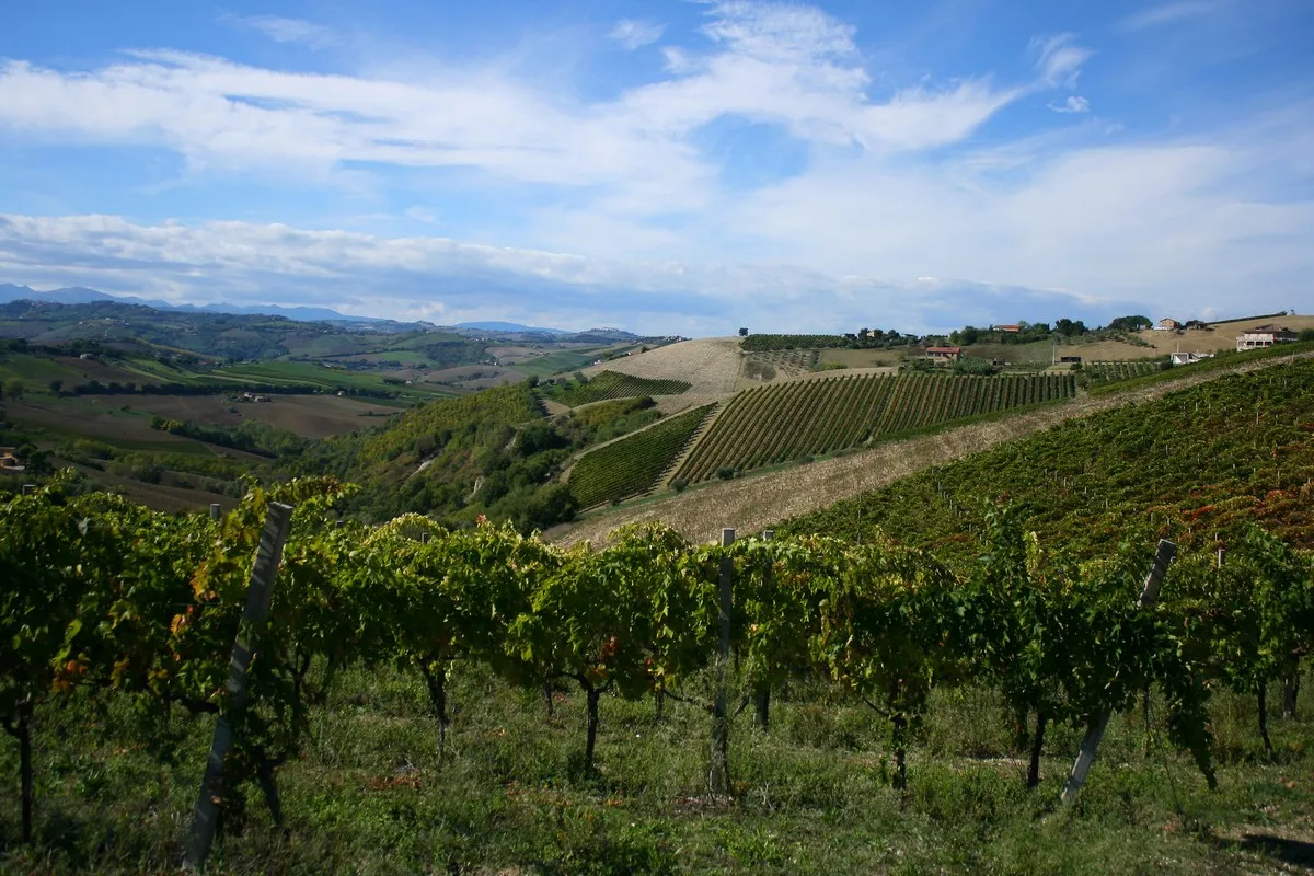 San Gregorio