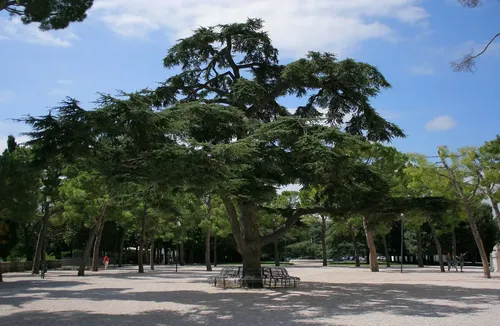 Parco del Girfalco