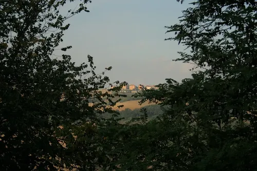 Collina Nuova