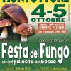 Festa del Fungo