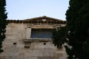 Dettaglio