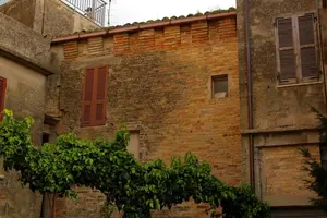 Dettaglio