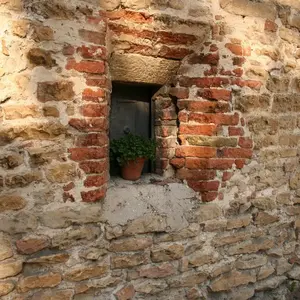 Dettaglio foto 8