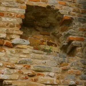 Dettaglio foto 4