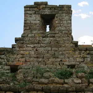 Dettaglio foto 7