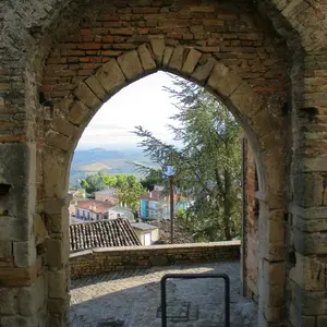 Dettaglio foto 6