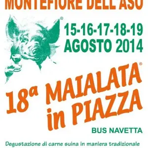 Dettaglio foto 3