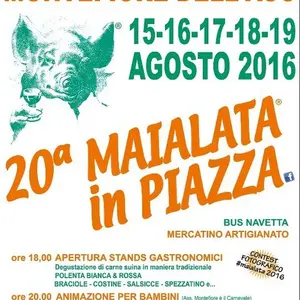 Dettaglio foto 2