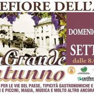 Dettaglio foto 2