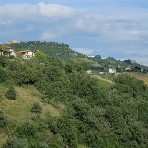 Dettaglio foto 2