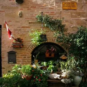 Dettaglio foto 2