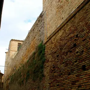 Dettaglio foto 2