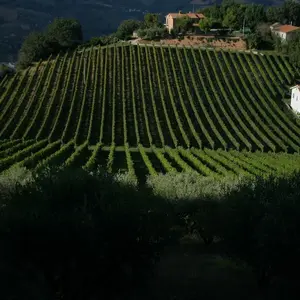 San Giovanni