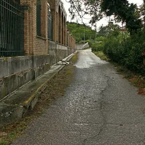 Dettaglio foto 4