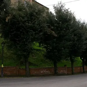 Dettaglio foto 11