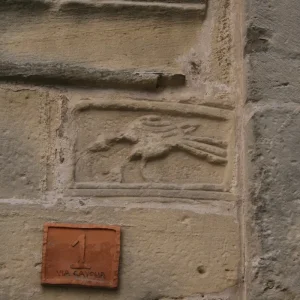 Dettaglio foto 2