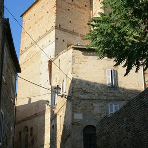 Dettaglio foto 2