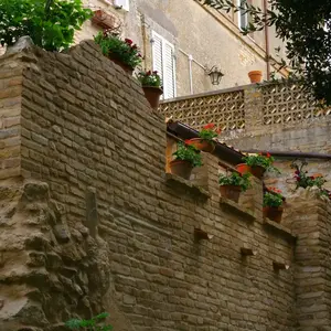 Dettaglio foto 15