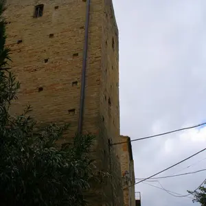 Dettaglio foto 13