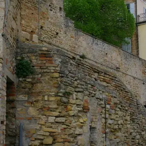 Dettaglio foto 10