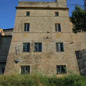 Dettaglio foto 7