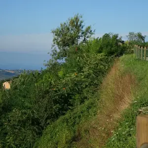 Dettaglio foto 6