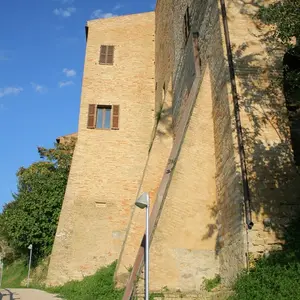 Dettaglio foto 3