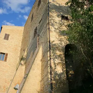 Dettaglio foto 2