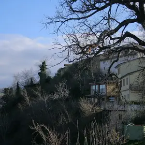 Collina