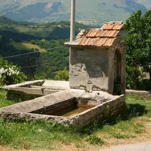 Fonte