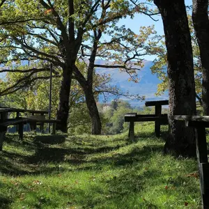 Area pic-nic
