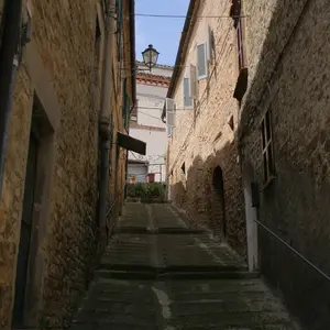 Dettaglio foto 13