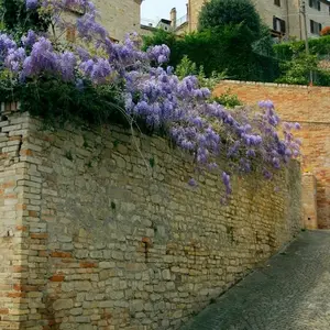 Dettaglio foto 3