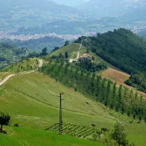 Dettaglio