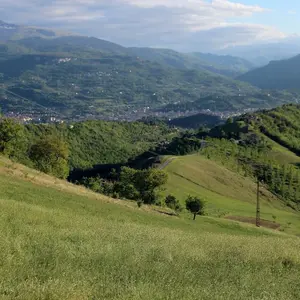 Dettaglio