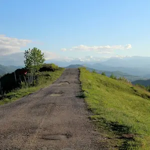 Dettaglio