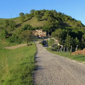 Dettaglio