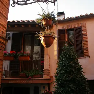 Dettaglio foto 11