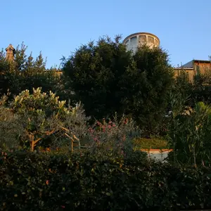 Dettaglio foto 3