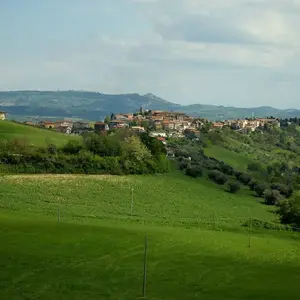 Notaresco