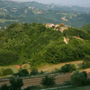 Appoiano