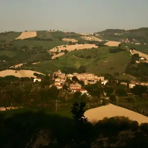 Dettaglio foto 7