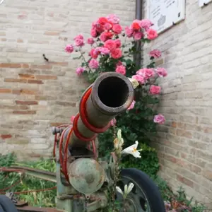 Dettaglio foto 4