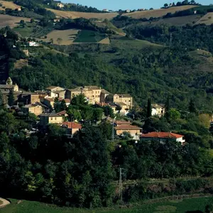 Torchiaro