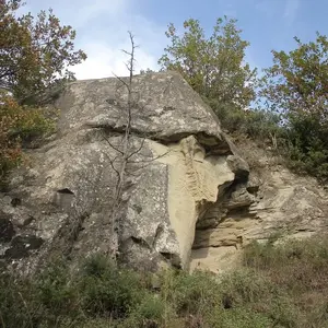 Dettaglio foto 13