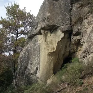 Dettaglio foto 6