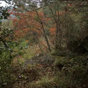 Dettaglio foto 7