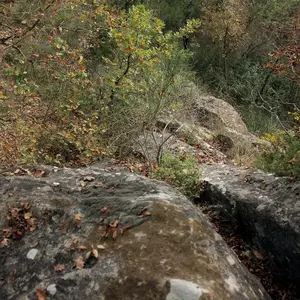Dettaglio foto 2
