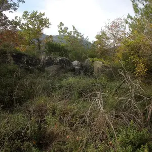 Dettaglio foto 4