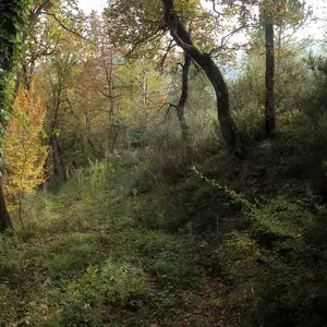 Dettaglio foto 14